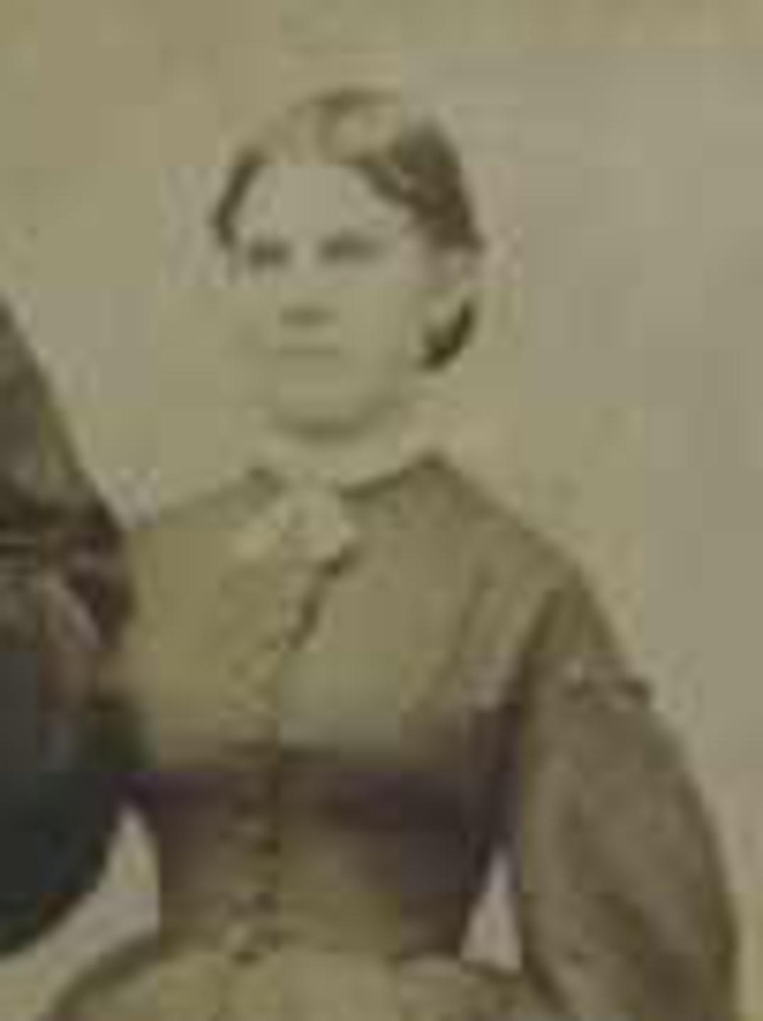Mary Elizabeth Scott (1846 - 1936) Profile